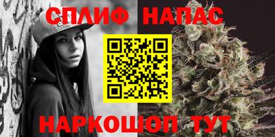 мдпв Тверь