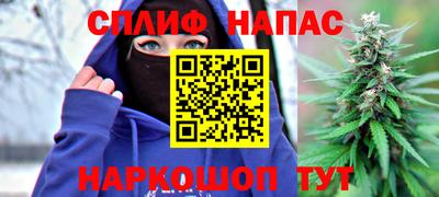 мдпв Тверь