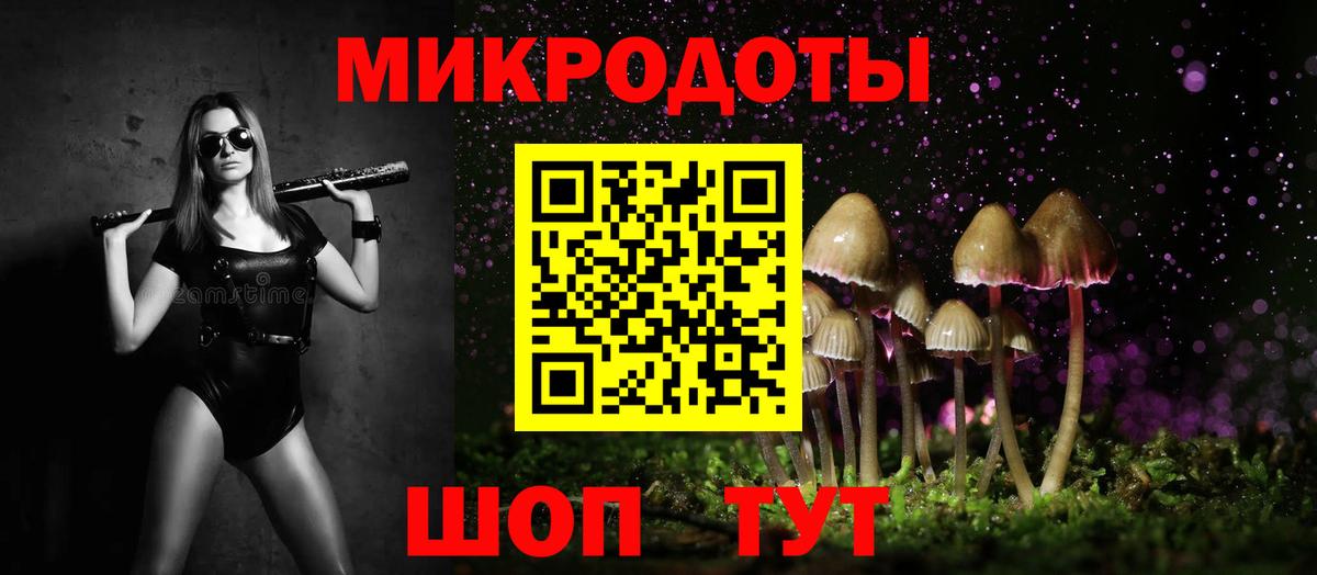 Галлюциногенные грибы Psilocybe  Вход с VPN  Нижнеудинск 